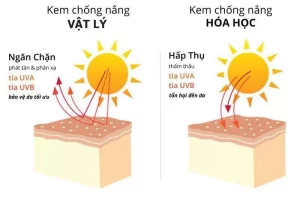 Nên chọn loại kem chống nắng vừa bảo vệ da khỏi tác hại tia UV, vừa nhẹ dịu và phù hợp với làn da của mình Nên chọn loại kem chống nắng vừa bảo vệ da khỏi tác hại tia UV, vừa nhẹ dịu và phù hợp với làn da của mình
